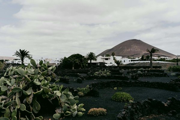 Quels conseils pour une randonnée à travers les paysages volcaniques de Lanzarote?