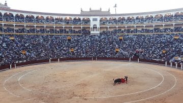 Les bénéfices d’un voyage linguistique en Espagne pour acquérir l’espagnol